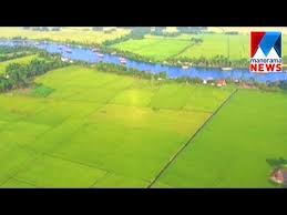 Initially, the act was passed to conserve and protect paddy fields and wetlands in the state. Paddy Land And Wetland Databank Issues Manorama News Youtube