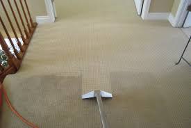 cons costs of carpet cleaning