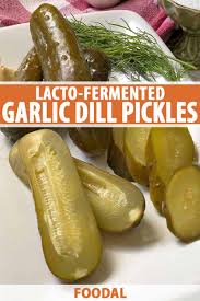 homemade lacto fermented garlic dill
