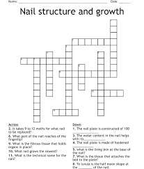 nail structure and growth crossword
