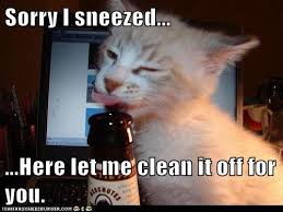 Many cats are excellent at grooming them. Lolcats Clean Lol At Funny Cat Memes Funny Cat Pictures With Words On Them Lol Cat Memes Funny Cats Funny Cat Pictures With Words On