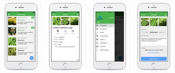 Identification plant id apk is a education apps on android. Top 7 Plant Identification Apps For Android And Ios