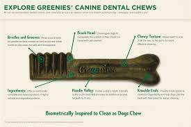 Greenies Treat Pak For Dogs Original