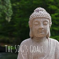 The SDG's Goals Alexander & Nicolas