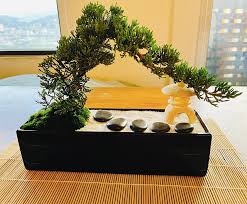 Pure Natural Japanese Zen Garden Potted
