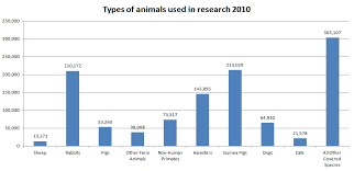 Perspective On The Use Of Animals In Research Drugmonkey