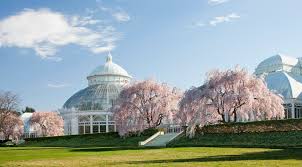 This year is all true to the motto thailand. New York Botanical Garden In Bronx Ny Escape Brooklyn