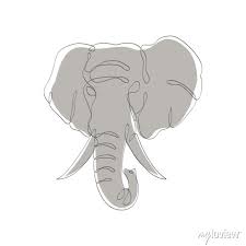 Elephant Head Line Art Icon Continuous