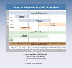 Causes Of Calf Scours Based On Age Of Onset Crystal Creek