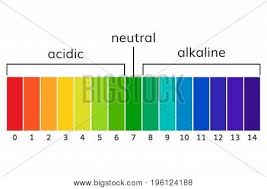 Chart Ph Alkaline Vector Photo Free Trial Bigstock
