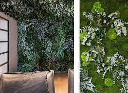 Plant Walls For A Jungle Feeling