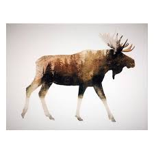 Ty Pennington Moose Canvas Wall Art 16x12