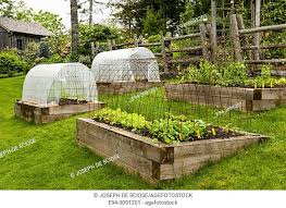 Raised Vegetable And Herb Garden Beds