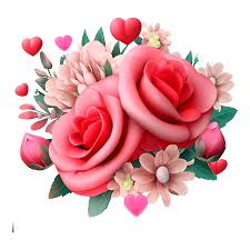 beautiful pink rose graphics