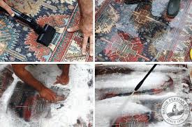 carpet cleaning area rug cleaning