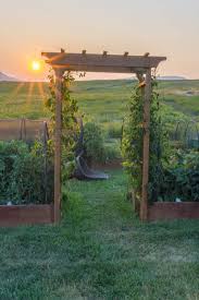 10 Easy Diy Garden Arbor Arch Ideas