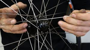 bicycle spokes explained cycle