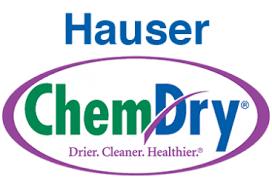 carpet cleaning rochester mn hauser