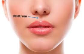 what s a philtrum and why do i want one
