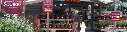 squire s garden centre in long ditton