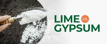 Lime Vs Gypsum Should You Use Lime Or