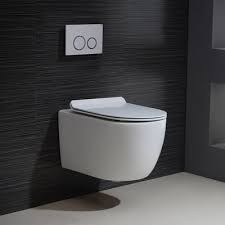 Dual Flush Elongated Wall Hung Toilet