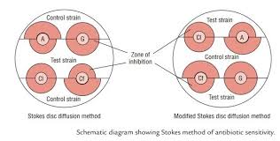 Stokes Disc Diffusion Method Principle Procedure And