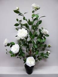Gelsomino in vaso rampicanti caratteristiche del gelsomino in vaso : Grande Albero Di Rose Artificiali Bush In Un Vaso Fiori Bianchi Pianta In Vaso 3ft Ebay