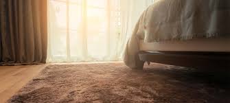 eldon dry carpet and upholstery