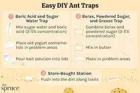3 easy diy ant traps to keep ants out