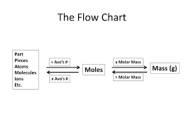 Ppt The Mole Powerpoint Presentation Free Download Id