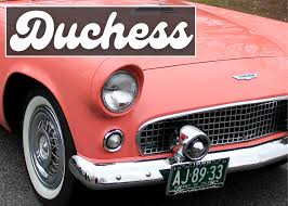 200 cute car names for s from