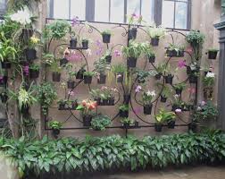 Orchids Of Longwood Gardens