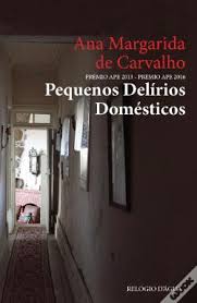 Resultado de imagem para fotos ou imagens da escritora portuguesa Ana Margarida de Carvalho
