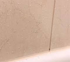 black mold in shower grout lines