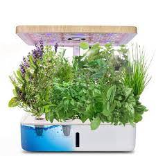 hydroponics growing system indoor herb