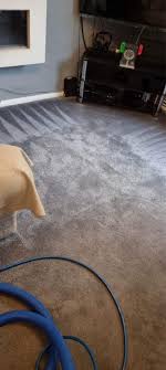 carpet cleaning leicester forest lea