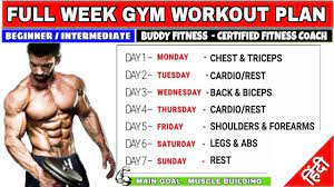 full week gym workout plan for muscle