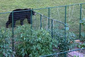 garden fencing protection from deer