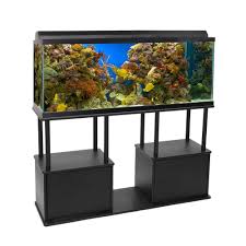 Amazon Com Aquatic Fundamentals Black Aquarium Stand With