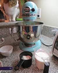 Image result for cats with kitchen aid mixer