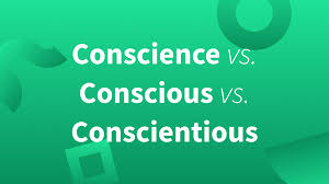 conscience vs conscious vs conscientious