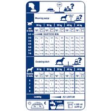 Royal Canin Mini Junior Feeding Chart Best Picture Of