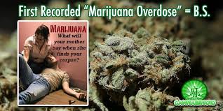 Résultat de recherche d'images pour "overdose de cannabiss humour"