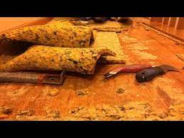 can old carpet cause health problems