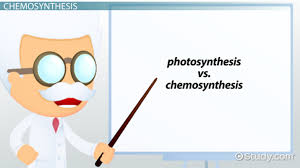 Chemosynthesis Vs Photosynthesis