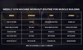 weekly gym machine workout routine with