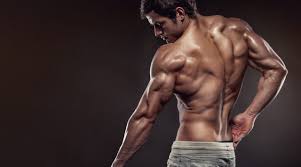 back and shoulder workout routine 10