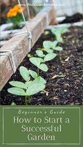 Simple Steps To Start A Garden For The