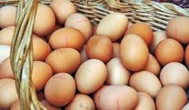 Quand retirer les œufs de la vente ?